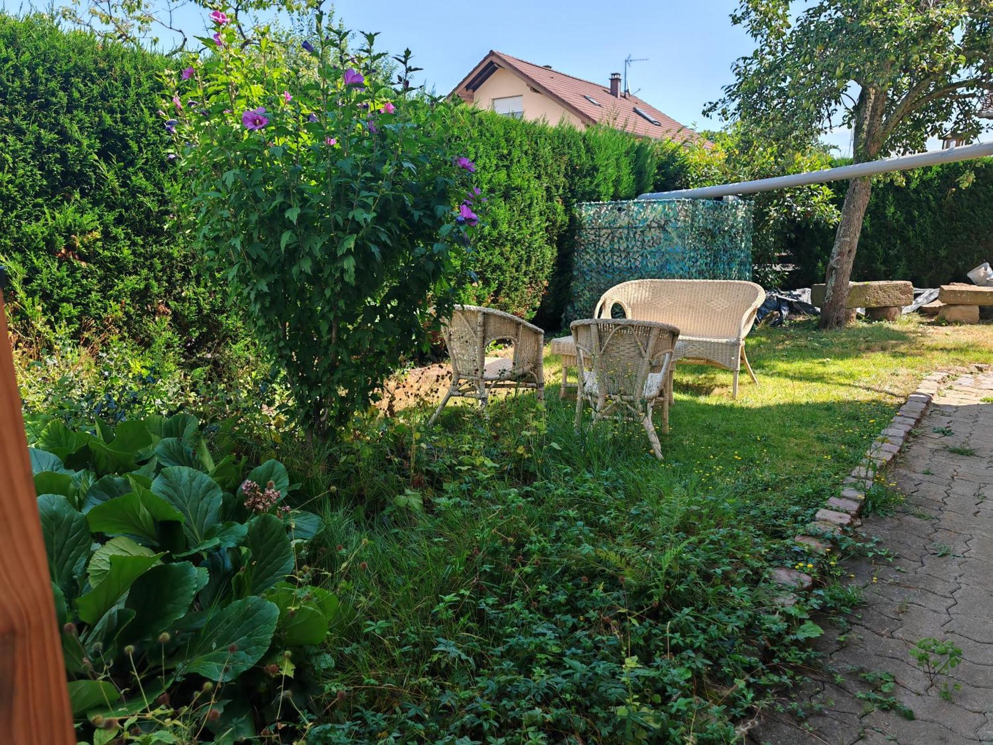 Appartement " Le Chardonneret " Issenheim Eksteriør billede